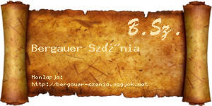 Bergauer Szénia névjegykártya